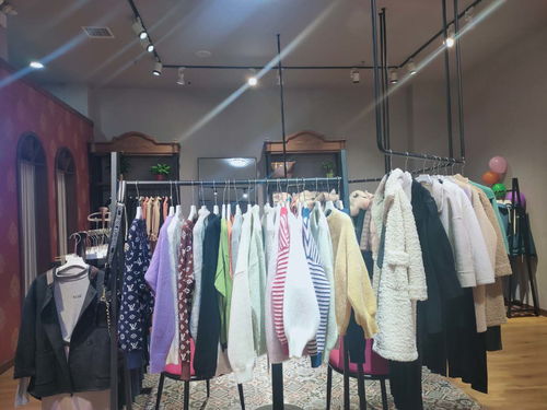 纯袖女装 时尚百搭风格多样，让女性魅力自由绽放